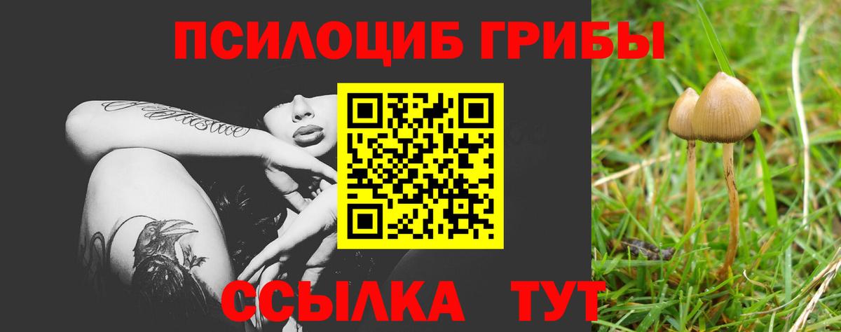 Псилоцибиновые грибы Cubensis  Галлюциногенные грибы ЛСД  Новый Уренгой  Вход с VPN 
