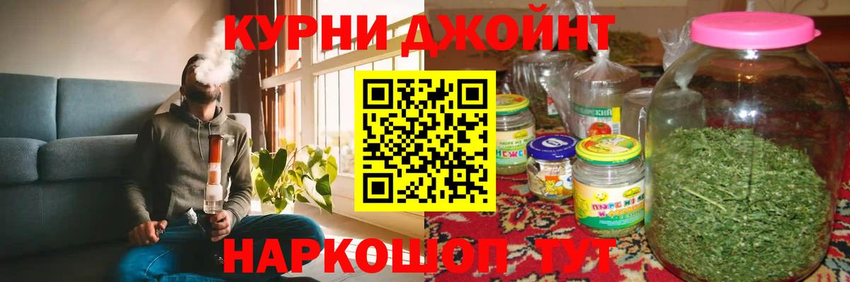 Канабис план  Вход с VPN  Шишки марихуана сатива  Новый Уренгой  Шишки марихуана сатива 